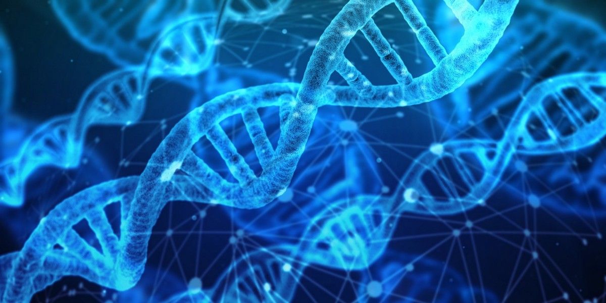 The best model I found to make change part of the company DNA